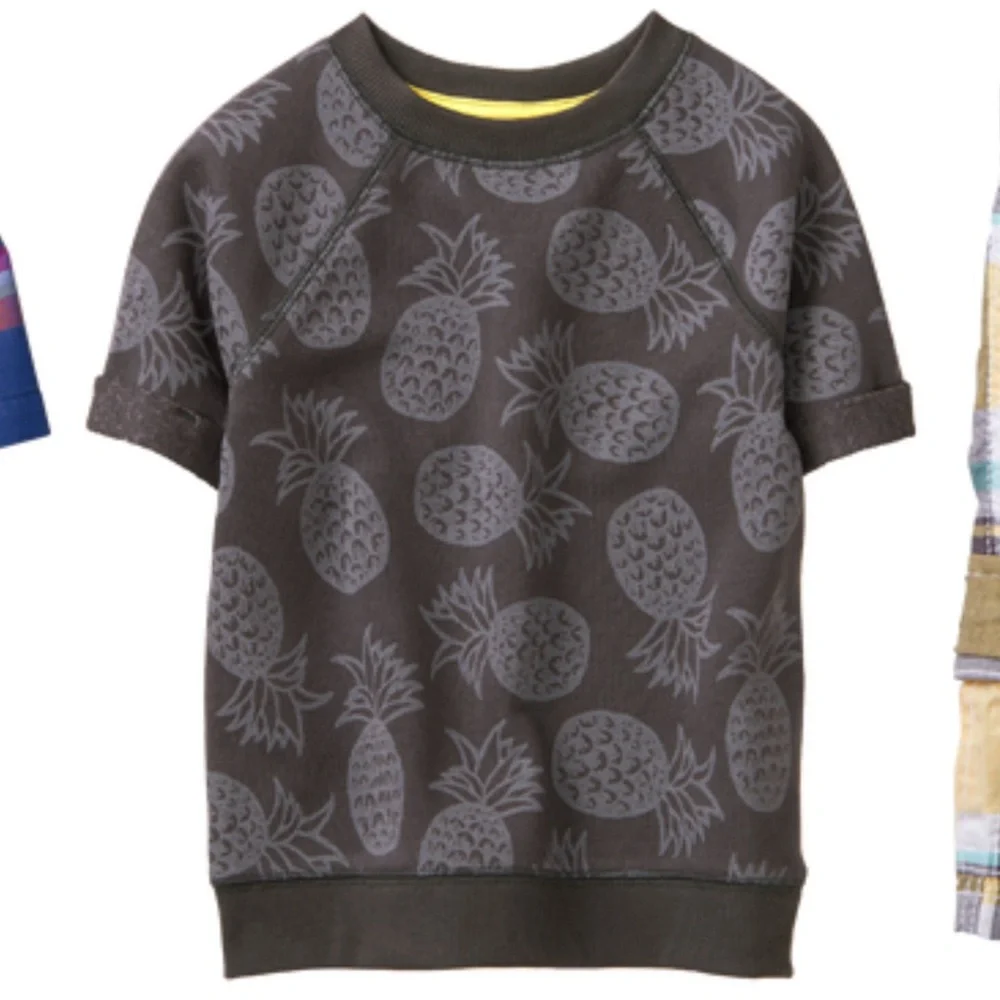 Gymboree Pineapple Sweatshirt